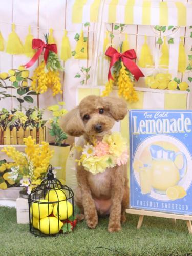 20240416サンくん